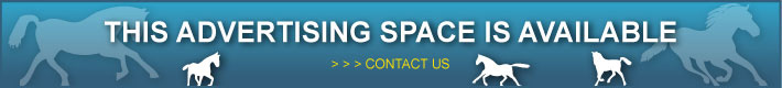 This space is available!